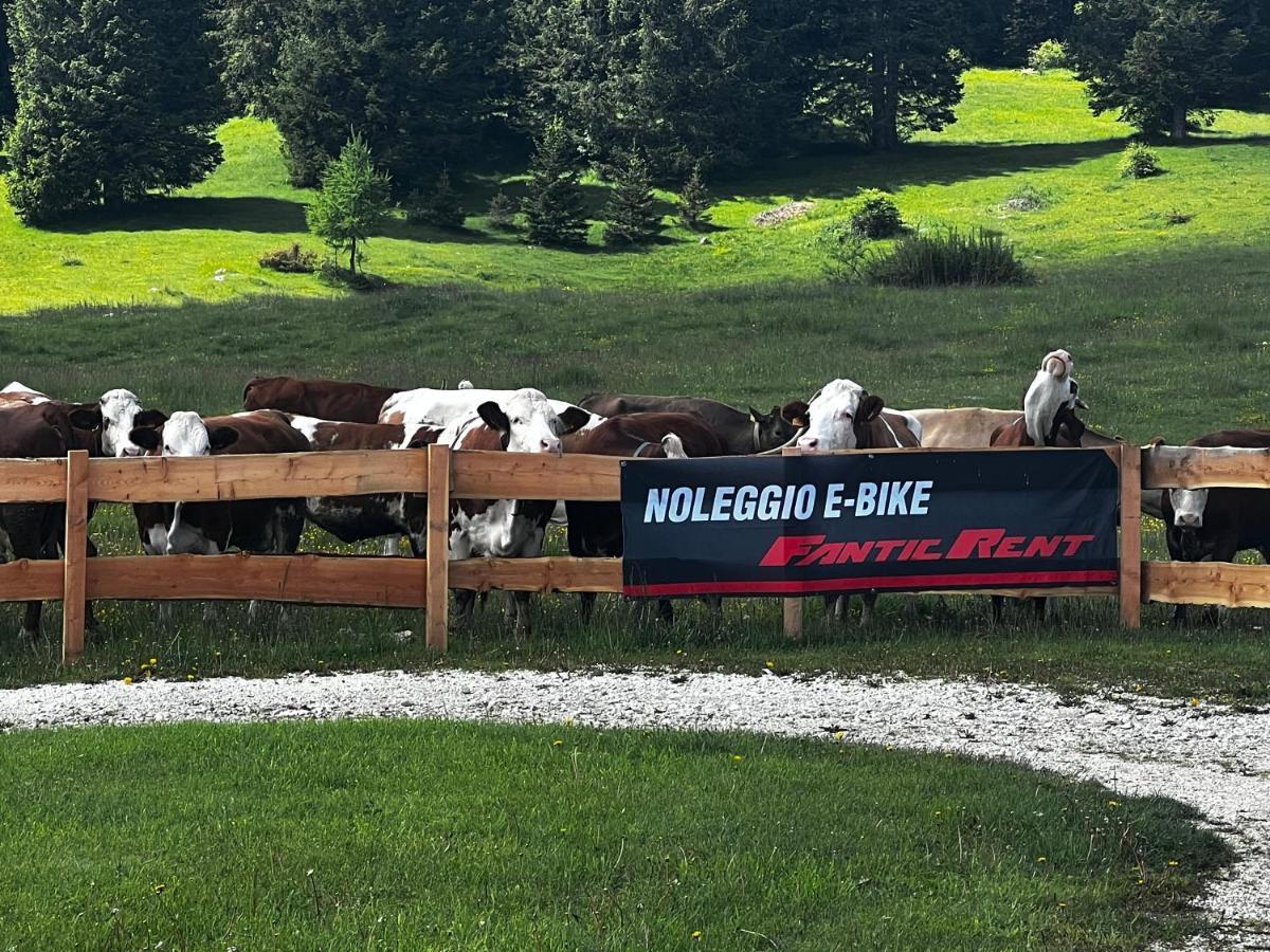 Malga Millegrobbe Nordic Resort Lavarone Eksteriør bilde